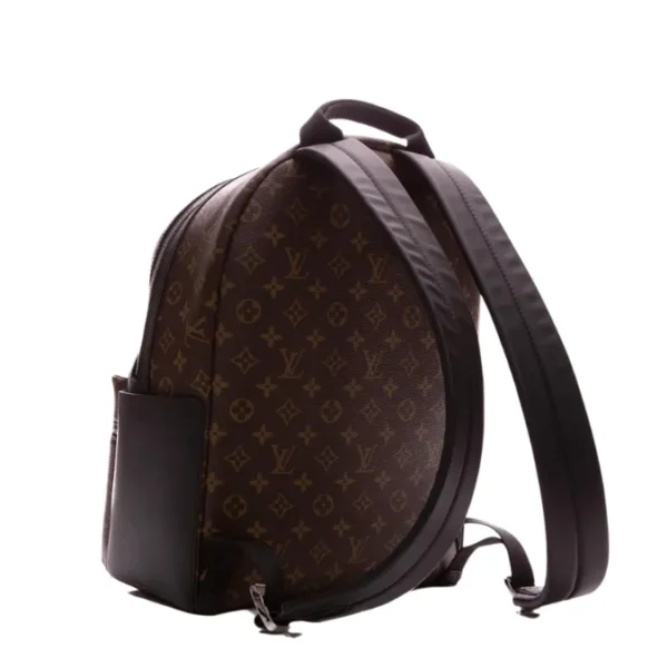 Louis Vuitton Monogram Palm Backpack PM Bag